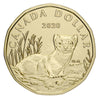 Black-Footed Ferret - 2020 Canada 6-Coin Specimen Set - Royal Canadian Mint