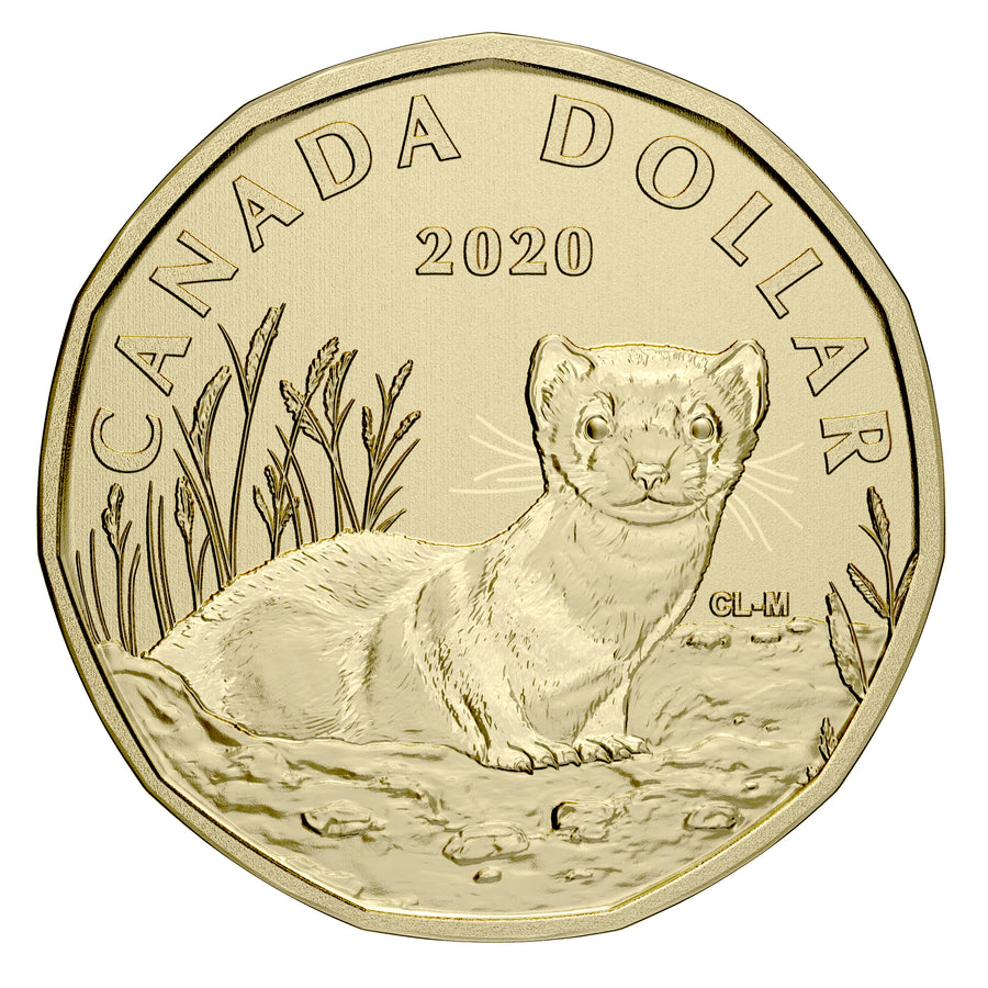Black-Footed Ferret - 2020 Canada 6-Coin Specimen Set - Royal Canadian Mint