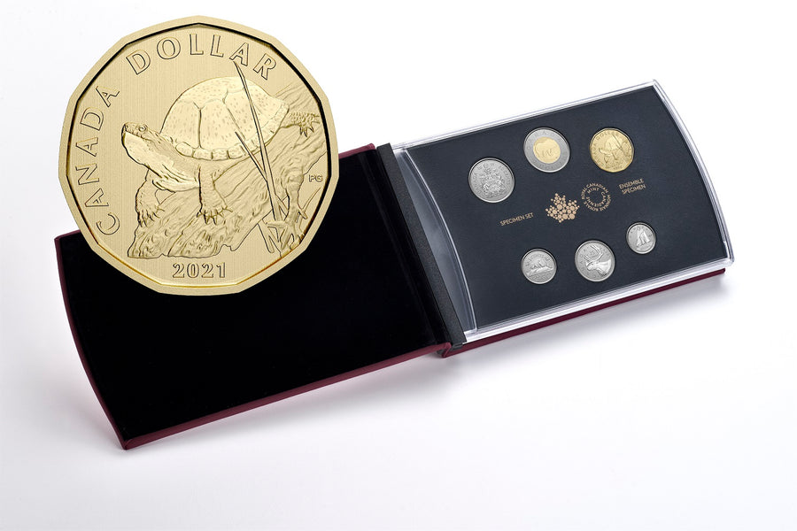 Blanding's Turtle Set - 2021 Canada 6-Coin Specimen Set - Royal Canadian Mint