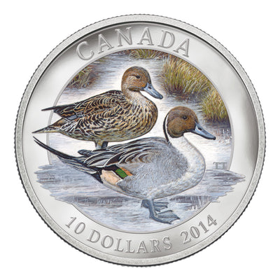 Ducks of Canada - Pintail Duck - 2014 Canada 1/2 oz Pure Silver Coin - Royal Canadian Mint