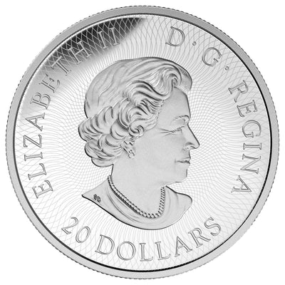 Maple Leaf Maze - 2016 Canada 1 oz Pure Silver Coin - Royal Canadian Mint