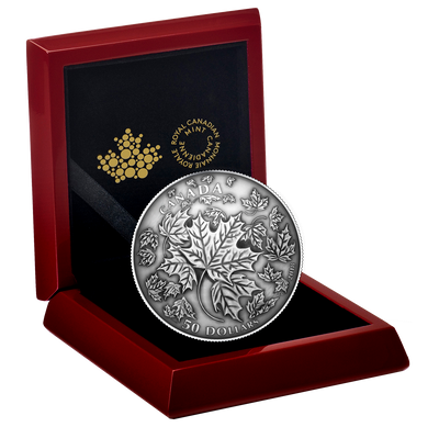 Maple Leaves In Motion - 2018 Canada 5 oz Pure Silver Convex Coin - Royal Canadian Mint