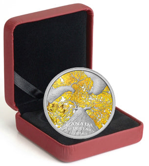 Maple Canopy - Autumn Allure - 2014 Canada 1 oz Pure Silver Coin - Royal Canadian Mint