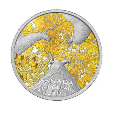 Maple Canopy - Autumn Allure - 2014 Canada 1 oz Pure Silver Coin - Royal Canadian Mint