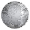 Moonlit Tranquility - Nature's Light Show - 2018 Canada 5 oz Pure Silver Glow In The Dark Coin - Royal Canadian Mint
