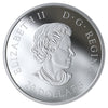 The Beloved Maple Leaf - 2019 Canada 1 oz Pure Silver Coin - Royal Canadian Mint