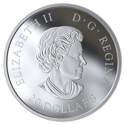 The Beloved Maple Leaf - 2019 Canada 1 oz Pure Silver Coin - Royal Canadian Mint
