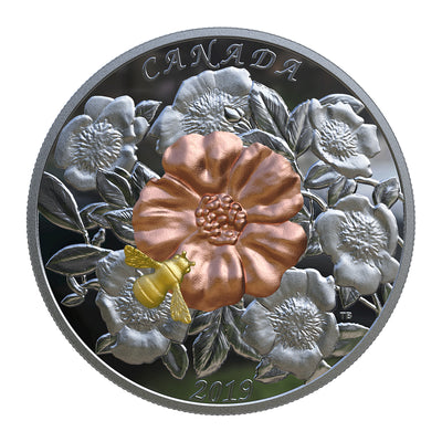 The Bumble Bee and The Bloom - 2019 Canada 5 oz Pure Silver Coin - Royal Canadian Mint